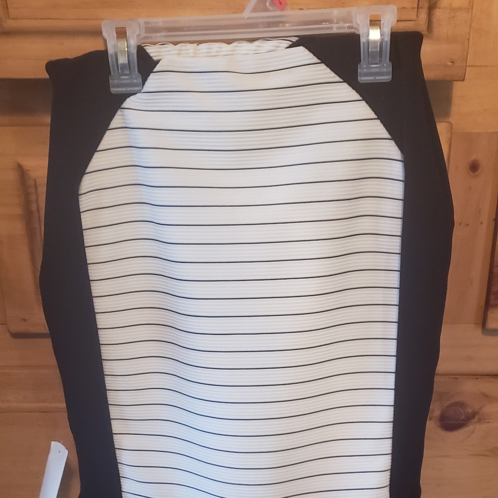 Pencil Skirt